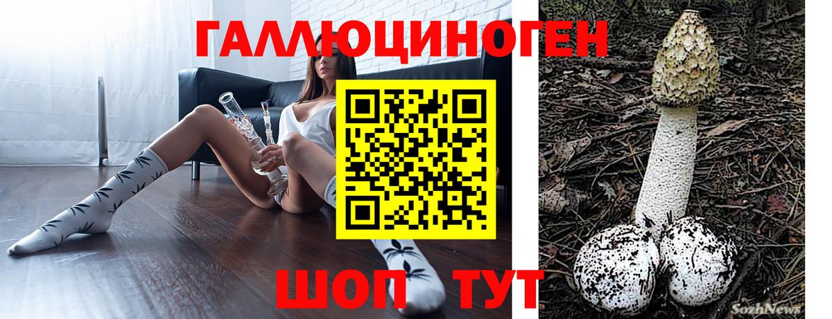 Чита  Псилоцибиновые грибы Magic Shrooms  Вход с VPN  Галлюциногенные грибы Cubensis 